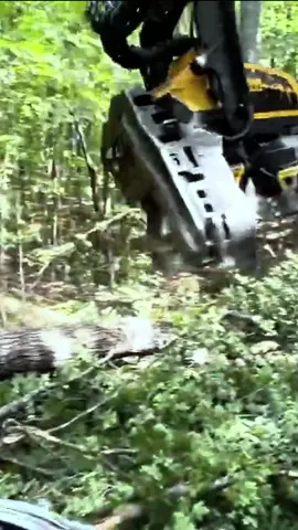 #machine #forestry #treecuting #logger #fyp #asmr 
