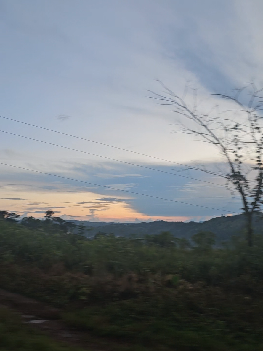 Nature> #cameroon #views  #roadtrip #scenic 