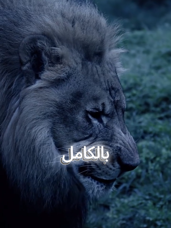 انا تغيرت بالكامل وتغير أيضا كل شيء في حياتي  #اقتباسات_عبارات_خواطر #اقتباسات #عبارات #المواقف 