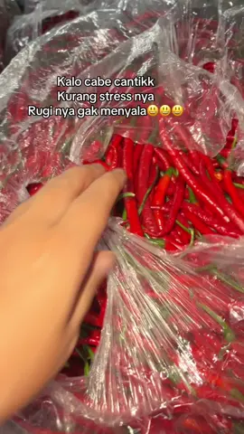 #pajakpagi #cabe #lagukaro 