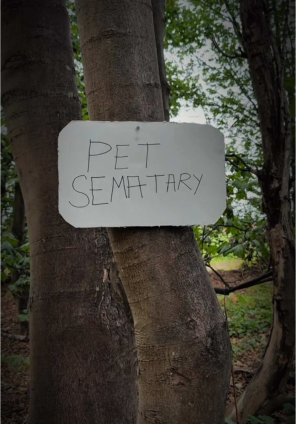 Story inspired by the Pet Semetary franchise. #Horror #Horrorstory #Horrorstories #Horrormovie #Horrortok #Horrortiktok #Scary #Scarystories #Creepy #Creepypasta 