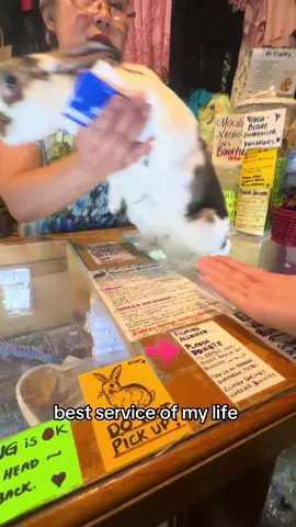 📍eureka springs working bunnies 