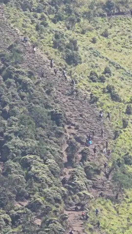 Tanjakan setan Merbabu via Selo