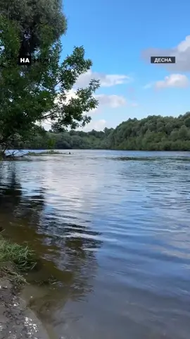 Краса Десни літнім вечором 