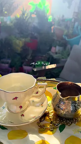 هل جلست العصر مثلي. . بين جفنات العنب🍇#your_coffee #قهوة_العصرية #فيروز 