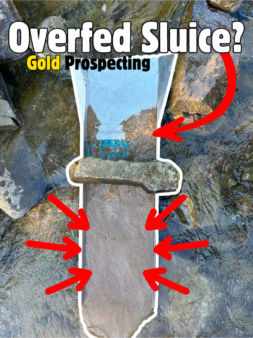 Did I overfeed my river sluice? #sluicebox #goldrush #creatorsearchinsights 