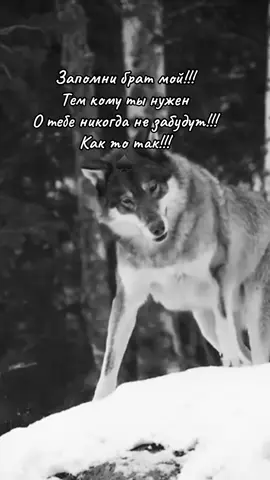 #одесса 