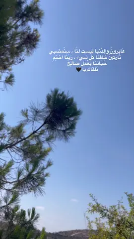 #يعبد #جنين #تصويري #CapCut #explore #foryou #ستوريات 