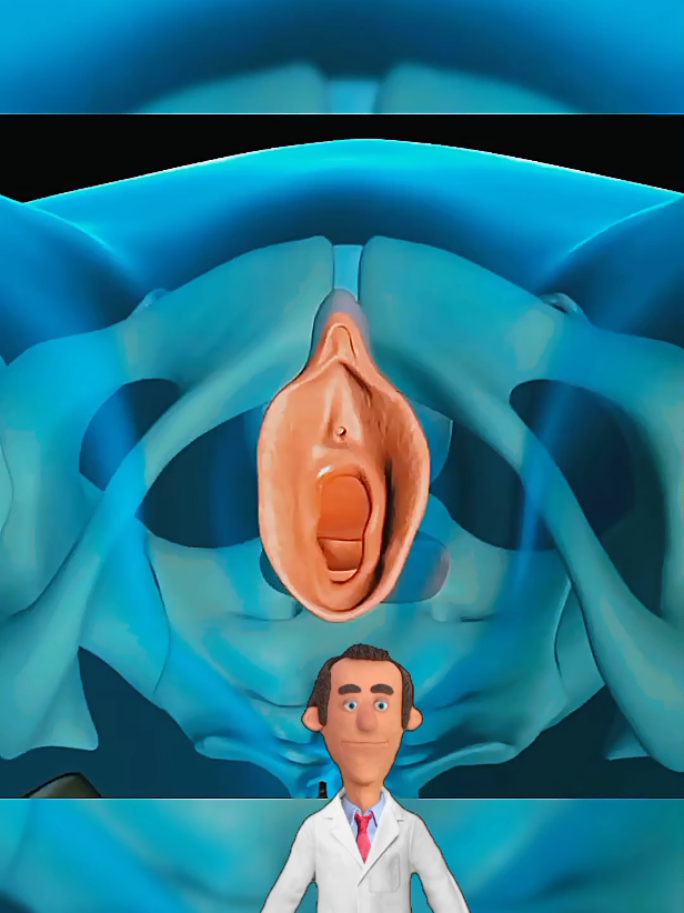 procédure d'hystérotomie crédit@Medical World 3D  #hysterectomy  #douleur  #cancer #femmes #chirurgie #education #gynecology  #medical #uterusproblems  #uterus #accouchement #mama #maman #apprendresurtiktok  #hysterectomyrecovery  #hysterectomysurgery  #hysteroscopy  #hysterectomyjourney  #hysteroscopysurgery  #hysteroscope  #hysteroscopicmyomectomy  #cervicalcancer  #cervicalcancertreatment  #cervixcancer 
