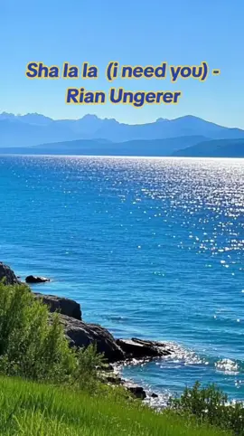 #shalalaineedyou #rianungerer #lyricsvideo #90s #fyp #foryou #viral #foryoupage #fypspotted #fyppppppppppppppppppppppp #ofw #ofwlife #ofwriyadhtiktokers🇸🇦💕philippines #ofwksa🇸🇦🇵🇭 @Cha 