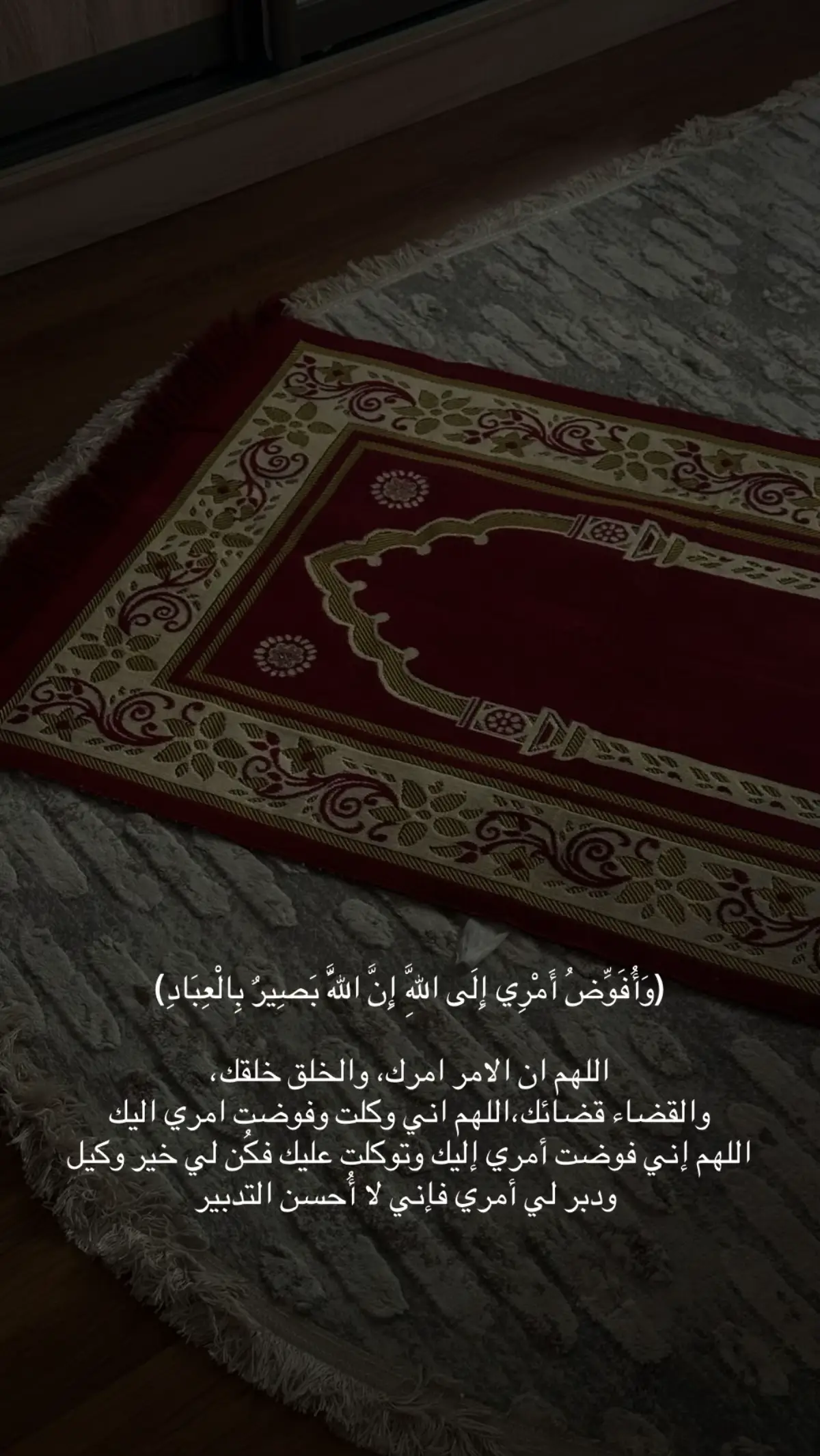 #اكتب_شي_توجر_عليه #اجر_لي_ولكم #يارب❤️ #سعد_ال_مخفور #quran #اكسبلورexplore #يارب_فوضت_امري_اليك 
