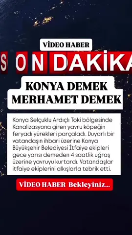 KONYA DEMEK  MERHAMET DEMEK… Konya Selçuklu Ardıçlı Toki bölgesinde Kanalizasyona giren yavru köpeğin feryadı yürekleri parçaladı. Duyarlı bir vatandaşın ihbari üzerine Konya Büyükşehir Belediyesi İtfaiye ekipleri  gece yarısı demeden 4 saatlik uğraş üzerine yavruyu kurtardı. Vatandaşlar itfaiye ekiplerini alkışlarla tebrik etti. Olay anını dakika dakika takip eden Konya Rapor olarak , Konya Büyükşehir Belediyesi İtfaiye Daire Başkanlığı ekiplerini bu özverili çalışmaları için tebrik ediyoruz. #konyabüyükşehirbelediyesi #konyaitfaiyesi #konyarapor #konya #uğuribrahimaltay #sondaki̇ka #hayvan #köpek #sondakika #konyarapor #reels #sondakika #viral #viral #instagram #konyarapor #kesfet #SONDAKİKA #konya #konyabüyükşehirbelediyesi #instagram #viral 