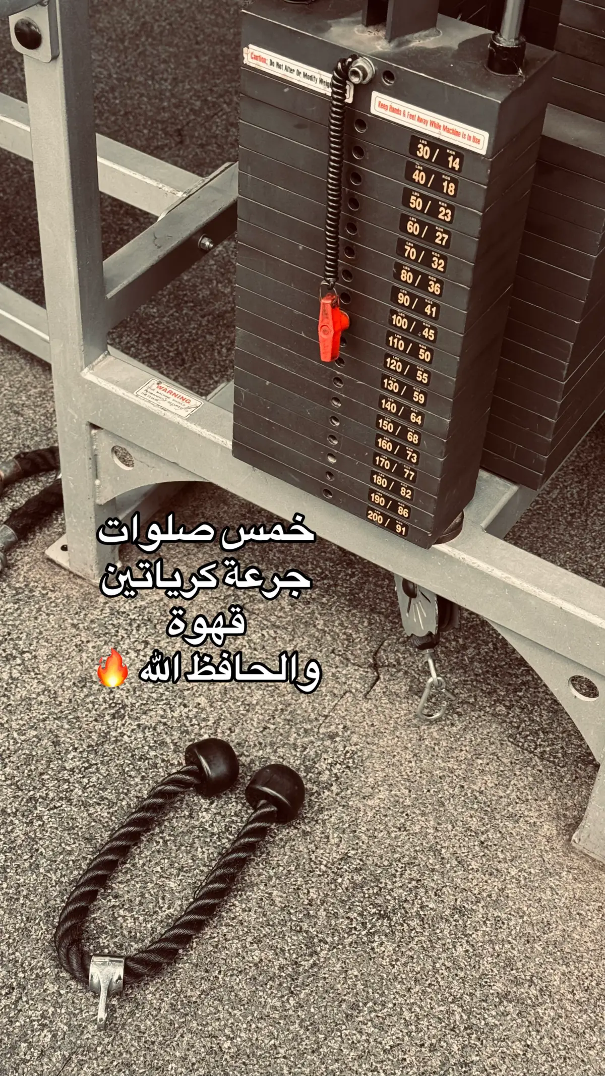 #gym #workoutmotivation #training 