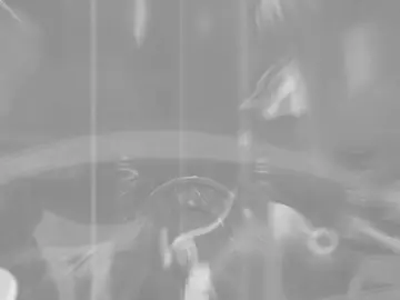 ياليتنا كُنا معك 💔