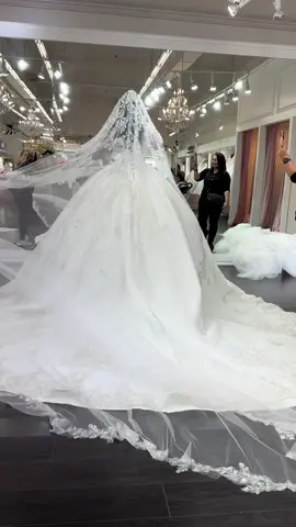 @María Sandoval 👑 #novias #familia #vestidodenovia #hijosfelices #maquillajetutorial #peinados 