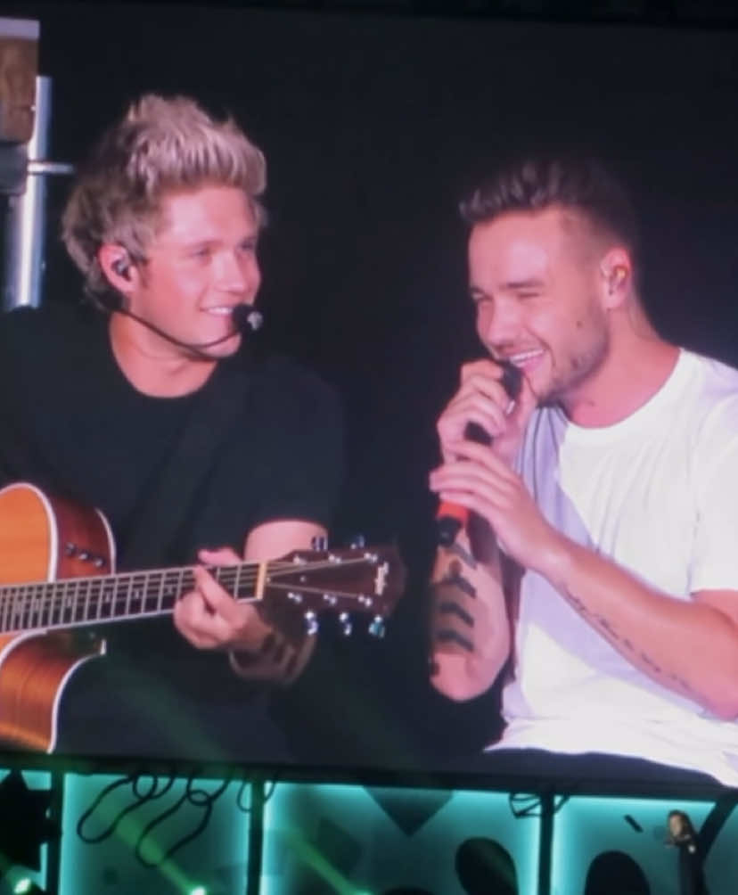 #onedirection #onedirectionreunion #zaynmalik #liampayne #loveontour #fineline #onedirectionvideos #harrystyles #louistomlinson #niallhoran #harrystylesedit #harryshouse #zaynsttstour #tslot #hslot #fy #fyp 