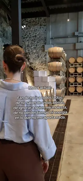 Mood #tranquilidad #loquecallamoslosintrovertidos #cosasdeintrovertidos #introvertidos #introvertida #asocial #fyp #foryoupage #relatablecontentonly #relatable #introvert #introverts #introvertsbelike #introvertidosbelike #introvertsoftiktok #mood #moodactual 