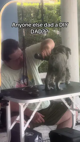 I’m talking it takes the house falling down to actually call a professional 😵😫 #diydad #dadsoftiktok #fyp #relatable 