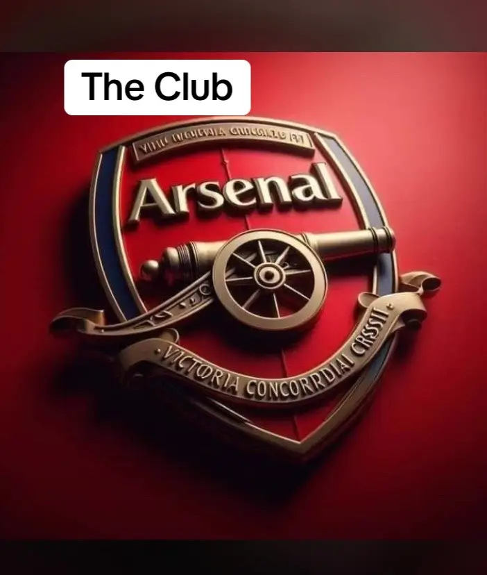 My Arsenal My Blood #fyp #An_ArsenalMom #ArsenalFC #thefinearsenalgirl #footballtiktok 