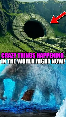 crazy things happening in the world right now! #curiosities #facts #history #tiktokeducation 