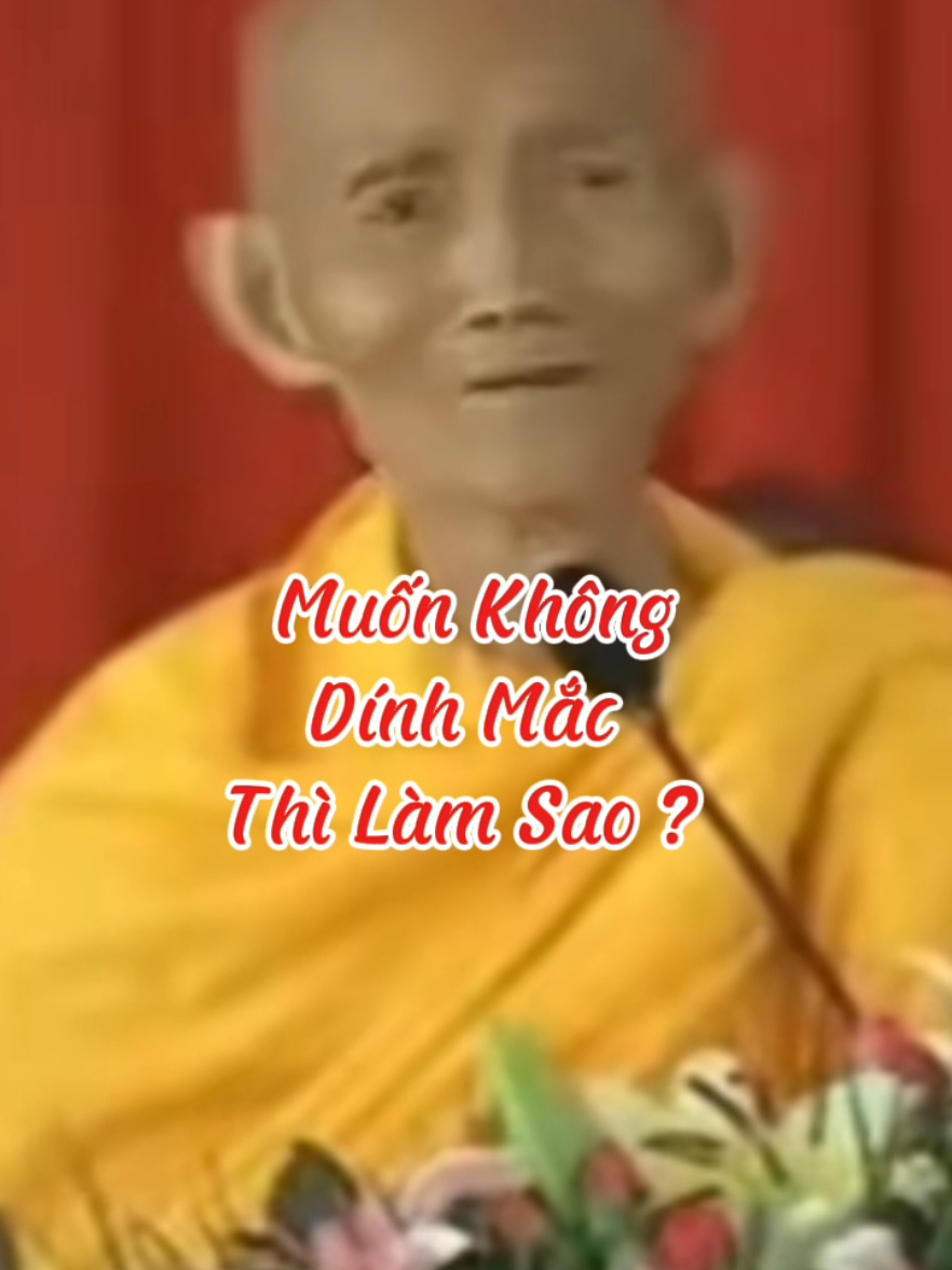 Muốn không dính mắc thì làm sao #loiPhatday #ThichGiacKhang #thongdiepcuocsong #nhungcaunoihay #xuhuongtiktok 