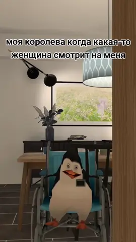 скинь ей чтобы знала как со стороны выглядит #zzz #zenlesszonezero #janedoe #vrchat #вр #vr 