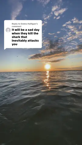 Replying to @Emma Halligan Great white sharks are on the endangered list and federally protected by Noah. If I accidentally was to get attacked by a great white shark, no one would care about the shark. It would be impossible to identify the shark, and they certainly wouldn’t have a search party out looking for the shark. There are so many great whites out here, and a lot of them are untagged it wouldn’t matter, and it wouldn’t matter, even if it was tagged, and they could figure out which shark it was, they wouldn’t unalive A great white shark because it’s against the law. And furthermore, they would consider what I’m doing reckless behavior, knowing the dangers of these animals that surround the Cape this time of year. And furthermore, truthfully, the amount of blood from a great white shark bite in this area would bring other great whites pretty much instantly there would be nothing left me for anyone to even know I was missing or attacked by a shark people go missing off this island all the time. And they are assumed to drowned.  That unequivocally would probably be the same case with me, even if I was attacked by a shark .💁‍♂️🦈🚩#chatham #capecodgreatwhitesharkfacts #capecodboy4life  #capecodgreatwhiteshark  #capecodgreatwhiteshark 