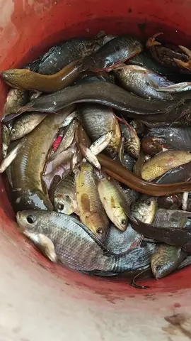 mến chúc cả nhà buổi sáng tràn đầy niềm vui thuận lợi trong mỗi công việc van sự như ý nha @@Cô Hai Miền Tây @Thoa Nguyễn 63 @Nhớ mãi một người 