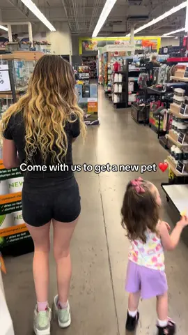 She really liked the Parakeet🥺 #fyp #foryou #trending #relatable #goals 