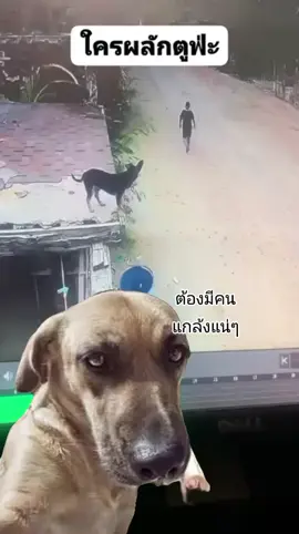 #😁😁😁 