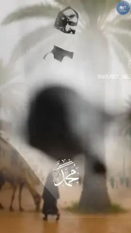 ndaysan car bi diazbou 🥹😭😭😭😭😭#pourtoi #videoviral #tik_tok #sénégal🇸🇳 