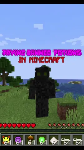 the pipes were the worst 😭 #Minecraft #minecraftmemes #minecraftmods #minecraftmod 