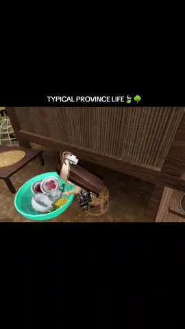SARAP SA PROBINSYAA!!🍃#CapCut #foryoupage #robloxgames #gaming #fyp #makeitvirаl #provincelife 