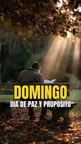 Domingo, Día de paz y propósito! 🙏🏽🙏🏽 #oracion #pray #jesus #biblestories #Dios #diosteama 