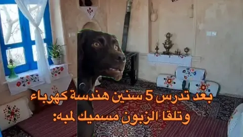 احا 💔. #الشعب_الصيني_ماله_حل😂😂 #foryou #الوطن_العربي #يطلع_اكسبلووور #المغرب🇲🇦تونس🇹🇳الجزائر🇩🇿 #رياكشنات #ترند #تفاعل #😂😂😂 #كوميدي #ضحك 