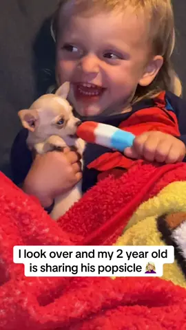 Sharing is caring I guess 😂🤦🏼‍♀️ #chihuahuastiktok #toddlersoftiktok #MomsofTikTok 