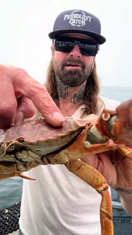 Barnacle Chronicles #asmr #friendliestcatch #barnaclechronicles 