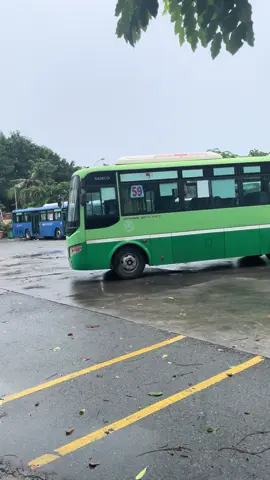 (51B-252.94) Xe Buýt 59 / TP HCM (Bx Quận 8 🔁 Bx Ngã 4 Ga) #nghiaroseanne #nghĩaroseanne 
