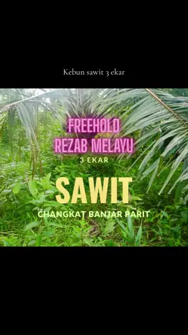 𝐀𝐬𝐬𝐚𝐥𝐚𝐦𝐮𝐚𝐥𝐚𝐢𝐤𝐮𝐦  Kebun sawit untuk dijual segera  🌴 Sawit 5 Tahun  🏞️Total 3 ekar 🚧 500mtr dari jln tar utama 🔥𝑭𝑹𝑬𝑬𝑯𝑶𝑳𝑫 🔥𝐑𝐄𝐙𝐀𝐁 𝐌𝐄𝐋𝐀𝐘𝐔 📍Lokasi: Cangkat Banjar Parit,Perak  💰Harga RM158k saja MURAH ✅ Jualan tunai ✅ Sila hubungi 0133937332  #perak #parit #kebunsawit #sawit 