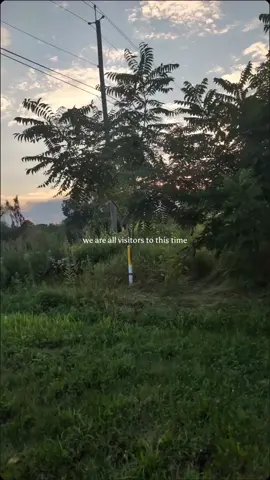 #CapCut 