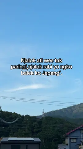 Njalok opo dek? #foryoupage #kenshuseijapan🇮🇩🇯🇵🎌 #fyp #foryou 