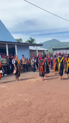 ##nttpride🏝🔥 #bajawa_flores_ntt #fyp #fypシ゚viral #fypdongggggggg #fypindonesia #tariantradisional #jaibajawa_nttflores🤗🤗 