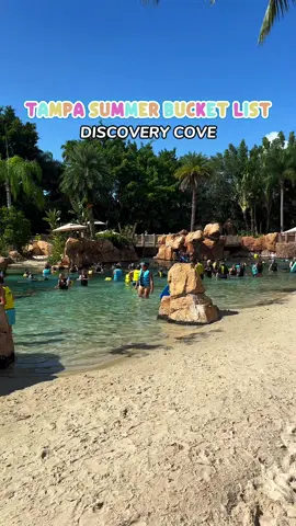 part 2 to my summer bucket list for my Tampa people! @Discovery Cove is such a hidden gem, one of my favorite places to spend the day during summertime! SO much you can do there and a great date idea or family day! 🌊🐠 #tampafl #orlandofl #tampathingstodo #travelingtampa #floridalife #tampabay #floridalife #tampafoodies #stpetersburg #orlandofoodies #tampa #tampatok #orlandotok #floridathingstodo 