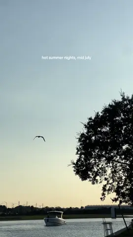 The bird was a paid actor #fyp #hotsummernights #nature #animaladventures 
