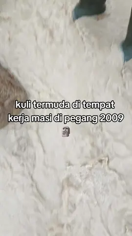fyp #gorontalo #pohuwatomarisa #😜🤪 