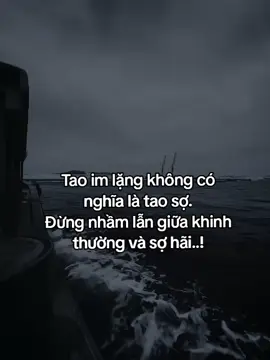 我的沉默并不意味着我害怕。 不要把蔑视和恐惧混为一谈……！