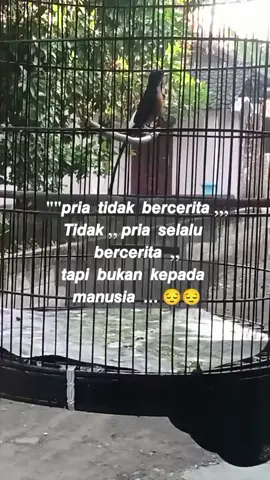 tetap sabar kuasai keadaan ..
