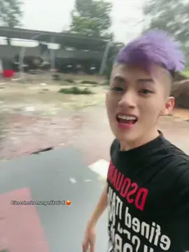 Bão bão 