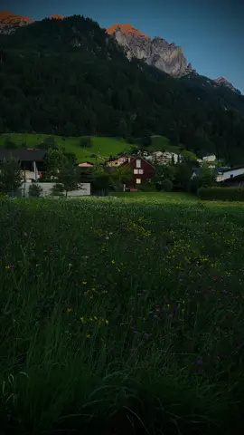 Amazing calming in village 🇨🇭🖤#relaxing #nostalgia #explore #calmvibes #aestheticvibes #cinematicvideo #moodyvibes #calmdown #darkaesthetic #calm #foryour #switzerland #swissphotographer 