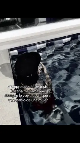 #contenido 